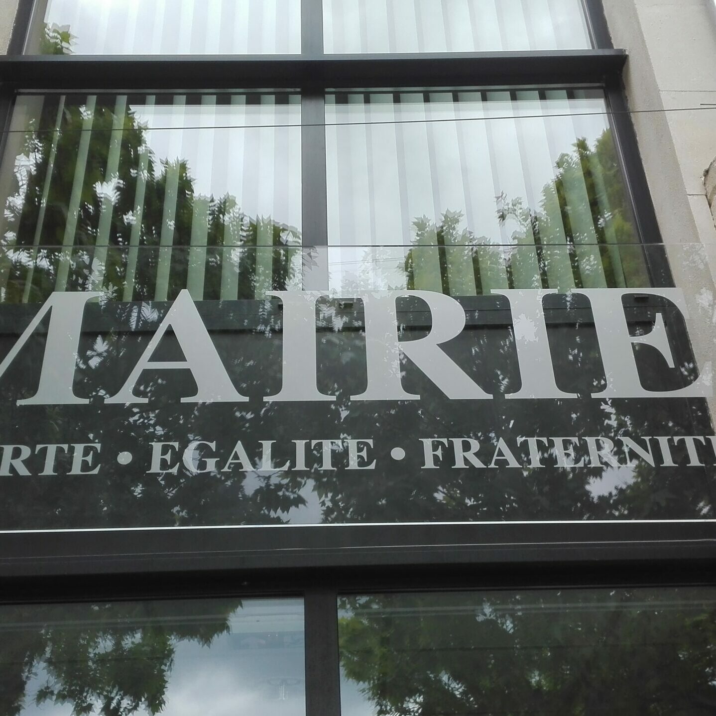 Travail de décoration sur Vitres et vitrines