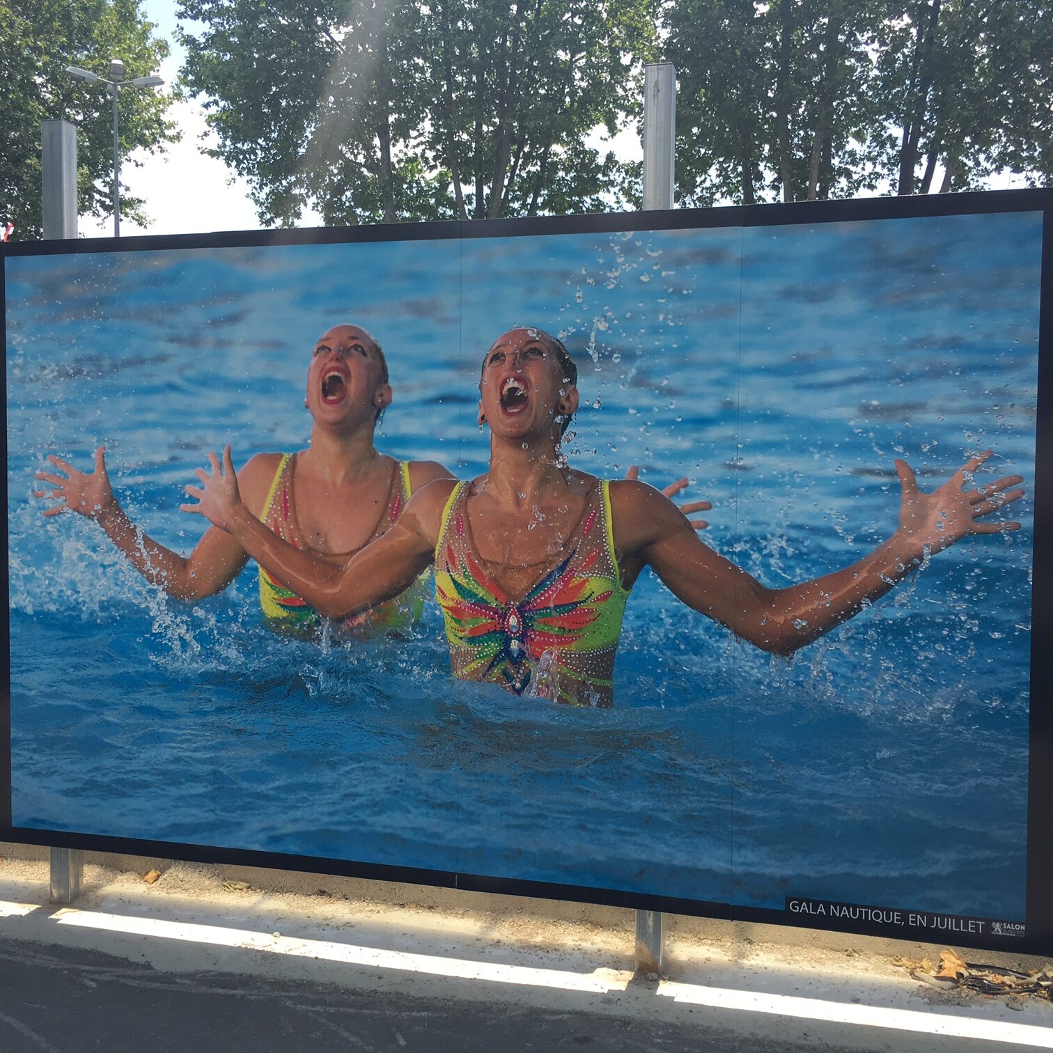 Palissades décorées